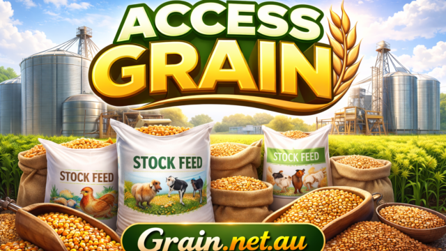 Access Grain