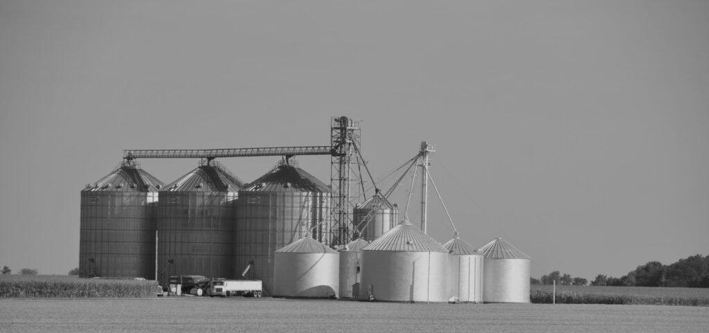 australian grain storage